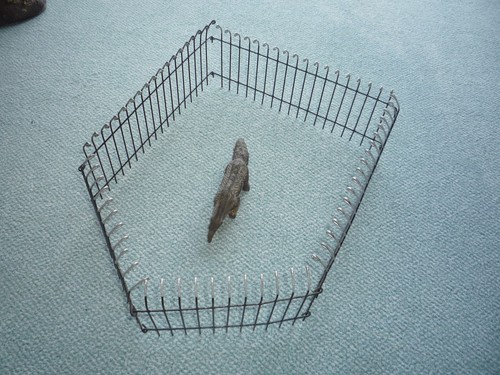Alte tiere figuren - alte, &