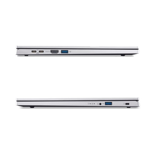 Acer extensa pure silver - acer, (pure