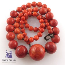 Schöne große Schaumkorallen