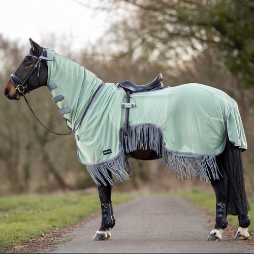 Busse ausreitdecke - busse,