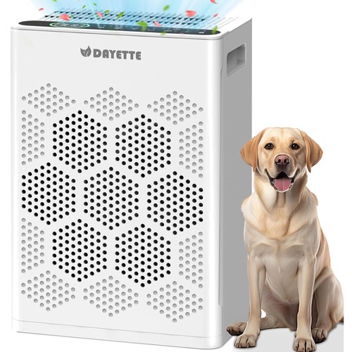 Luftreiniger hepa filter - luftreiniger,