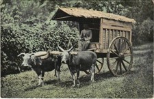 Old postcard AK INDONESIA A
