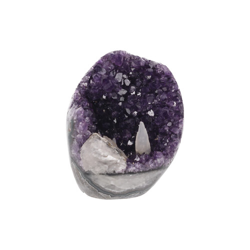 Violet sanctuary - violet,