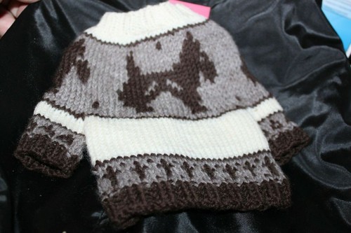 Urban pup fashion - urban,