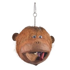 Coco Monkey - Kokosnuss