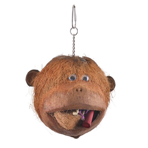 Coco monkey kokosnuss - coco,