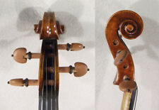 Sehr feine 4/4 Geige Violine Violin Fiddle neuwertig (2009)