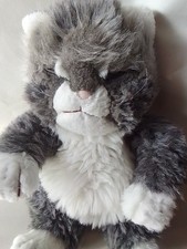 katze , kater , schlafend grau