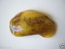 Bernstein Butterscotch Honig Naturbernstein Amber 8,0 g/4,6 x 2,8 x 1,1 cm