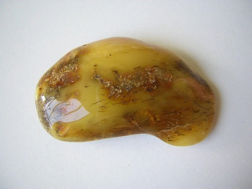Bernstein butterscotch honig - bernstein,