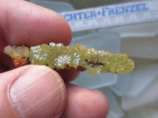 Adamin xx Mexiko, Mapimi