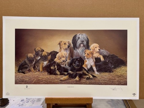 Nigel hemming friends for - -,