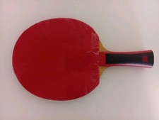 SANWEI Profischläger