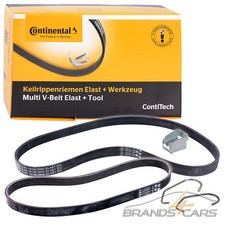 CONTI KEILRIPPENRIEMEN FÜR FORD FUSION FIESTA 5 MAZDA 2 DY 1.2 1.25 1.4 1.6 01-