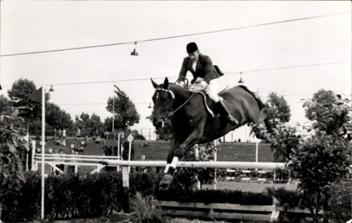 Foto springreiten sprung - springreiten,,