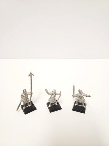 Bretonnia squire squires - bretonnia,