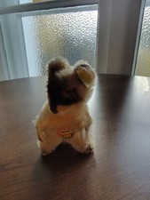 Steiff Raccy Waschbär 4310/00, 50er/60er Jahre, Mohair, mit Knopf & Schild – Sam