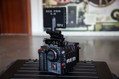 Red scarlet mysterium - scarlet, mysterium-x