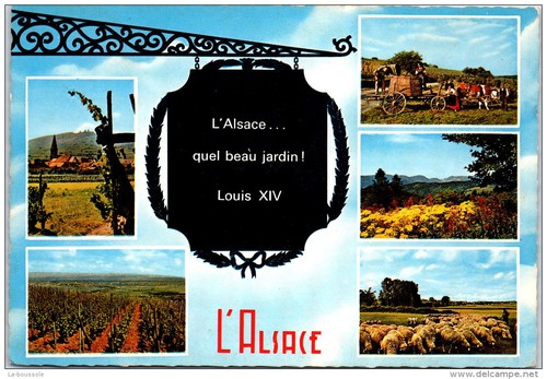 Souvenir alsace der - 67,