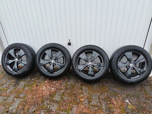 Original škoda zoll - Škoda, 16