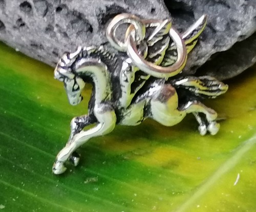 Anhänger silber 925 pegasus - silber,