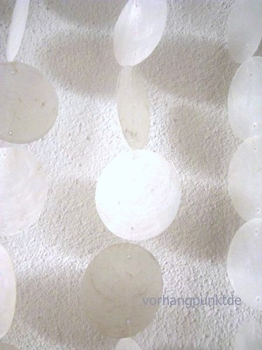 Stück muschelplättchen - 20,