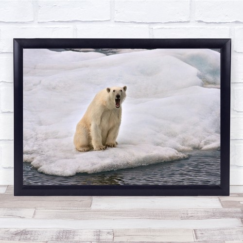 Natur schnee nord - schnee, franz