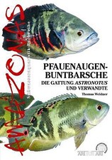 Pfauenaugen-Buntbarsche Thomas