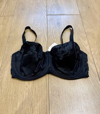 What Katie Did schwarzer