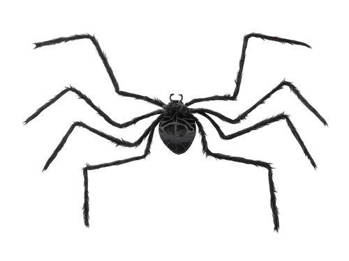Xxl deko spinne - xxl, 120cm