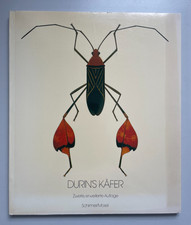 Durin's Käfer - zweite