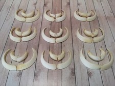 TOP Keilerwaffen Stosszähne