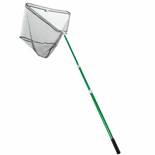 Hammerkopf kescher angeln - hammerkopf,
