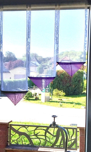 Fenster 60cm weiß lila - b,