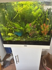 Juwel Lido 120 Aquarium mit LED-Beleuchtung, Pumpe, Filter, Heizer