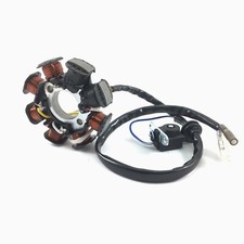 LICHTMASCHINE 8 SPULEN CHINA ROLLER BAOTIAN REX ZNEN SCOOTER 139QMA 139QMB 4TAKT