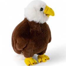 Carl Dick Adler Nestling