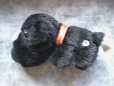 THE DOG  Artlist Collection -