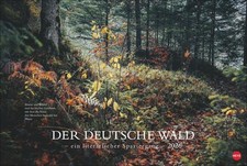 Der deutsche Wald - Ein