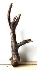 Treibholz Schwemmholz Driftwood 1  Wurzel Dekoration Terrarium 51 cm