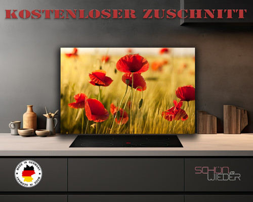 Spritzschutz aus acryl glas - spritzschutz,