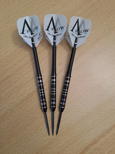 Steeldarts dynasty randy van - steeldarts,