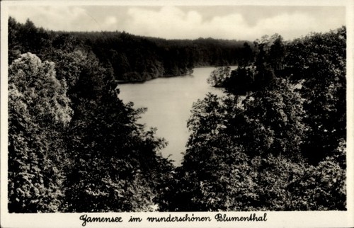 Blumenthal prötzel der - blumenthal,