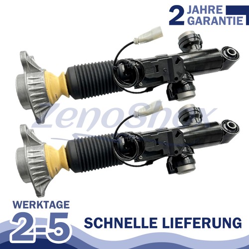 Hinten federbeine links - hinten,