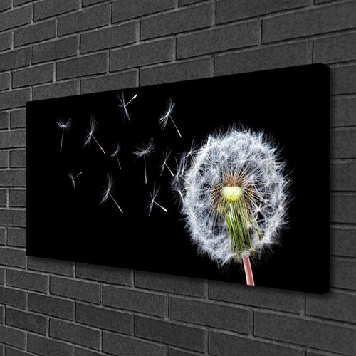 Leinwand bilder 100x50 - leinwand-bilder,