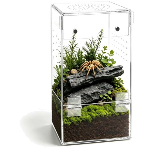 Terrarium insekten acryl - terrarium,