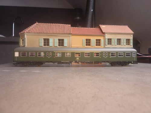 Lima grüner silberling - lima,