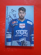 Stefano Giliati SERC - Schwenninger Wild Wings