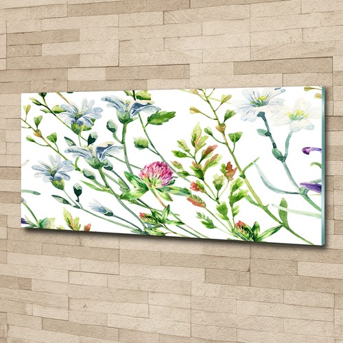 Acrylglas bild wandbilder - acrylglas-bild,