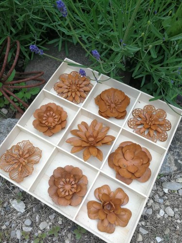 Edelrost blumen set - edelrost,
